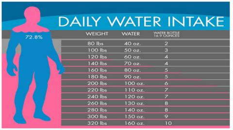 Daily Water Intake