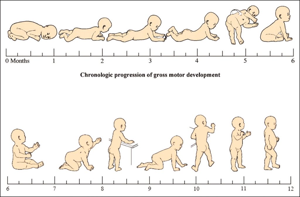 Developmental Stage for Infants
