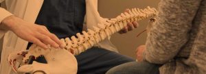Spine Picture